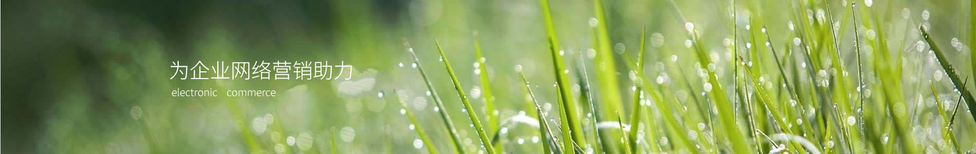 ݱ̩豸޹˾